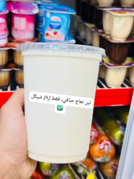لبن نعاج بلدي